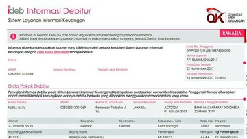 Kini Semua Bisa Cek BI Checking Sendiri Lewat Internet